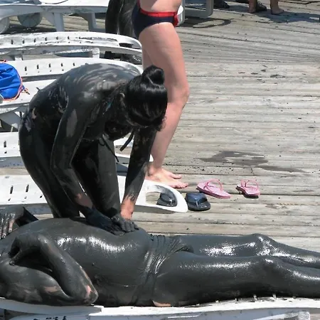 & Thermal Thermemaris דלמן