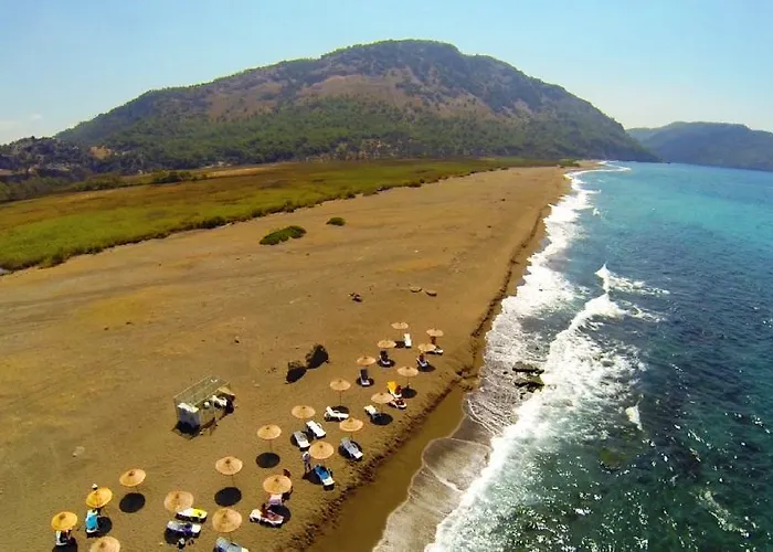 & Thermal Thermemaris 4* دالامان