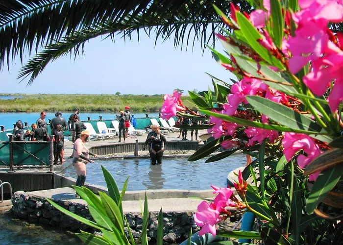 & Thermal Thermemaris 4*